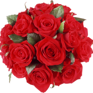 Rose PNG