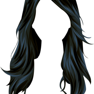 Hair wig PNG