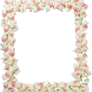 Floral frame PNG