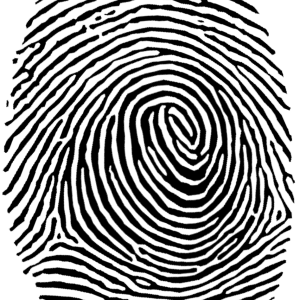 Fingerprint PNG