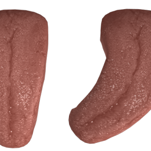 Tongue PNG