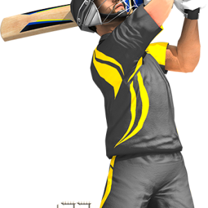 Cricket player PNG