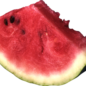 watermelon PNG image