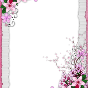 Floral frame PNG