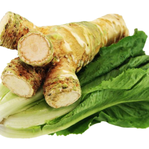 Horseradish PNG