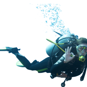 Diver PNG