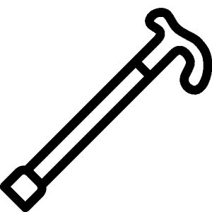 Walking stick PNG