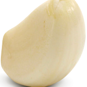 Garlic PNG