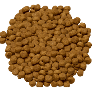 Dog food PNG