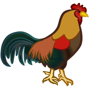Cock PNG