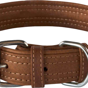 Dog collar PNG