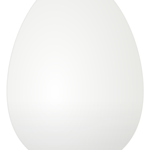 White egg PNG image