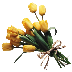 Bouquet flowers PNG