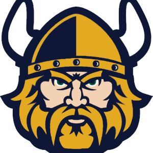 Viking logo PNG