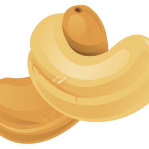 Cashew nut PNG