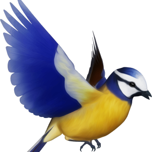 Bird PNG