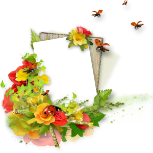 Floral frame PNG