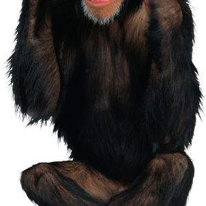 Monkey PNG