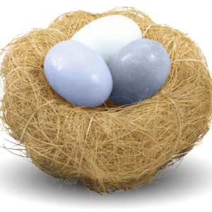 Nest PNG