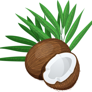PNG Coconut