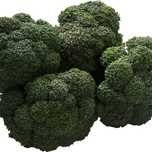 Broccoli PNG image