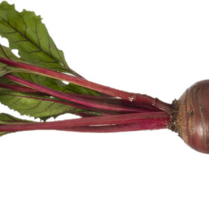 Beet PNG
