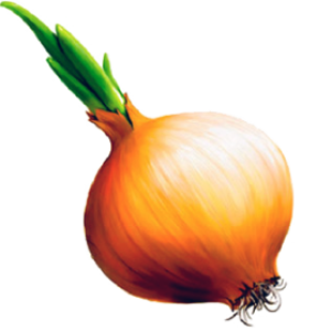Onion PNG image, free download picture