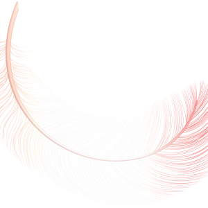 Feather PNG