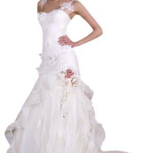 Bride dress PNG