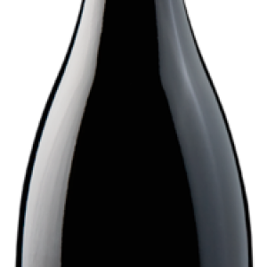 Wine PNG