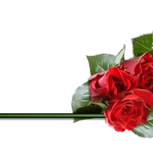 Rose PNG
