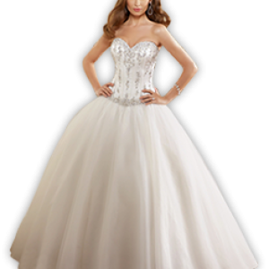 Bride PNG