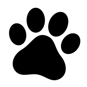 Paw PNG