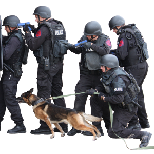 Swat PNG