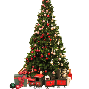 Christmas tree PNG