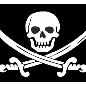 Pirate flag PNG
