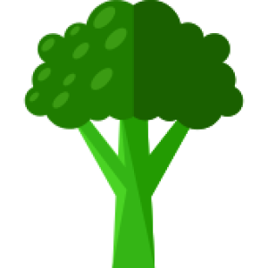 Broccoli PNG