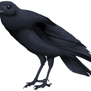 Bird PNG