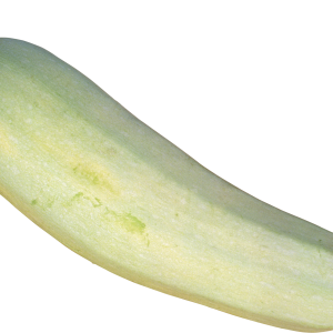 marrow PNG