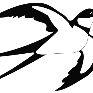 Swallow PNG
