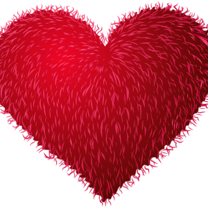 Heart PNG