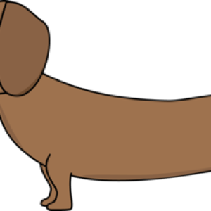 Dachshund PNG