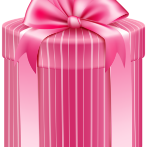 Gift box PNG