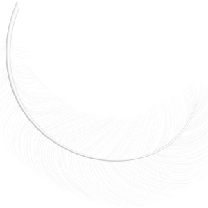 Feather PNG