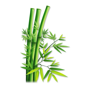 Bamboo PNG