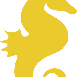 Seahorse PNG