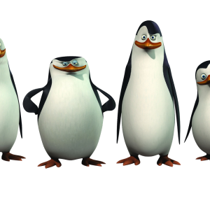 Madagascar penguins PNG