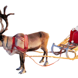 Santa Claus's reindeer PNG