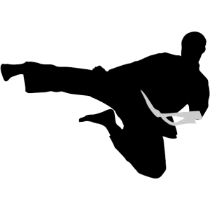 Karate PNG