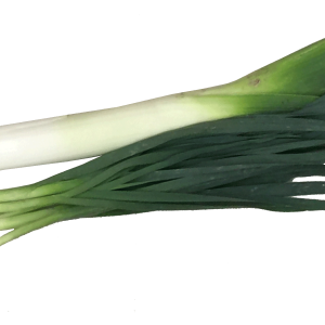 Leek PNG